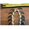 Image 3 : (20) Matching BLACK BEAR Front Claws-All from the same BEAR! (ONE$)