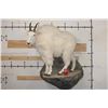 Image 1 : Life-sized MOUNTAIN GOAT on a Simulated Rock Wall Base