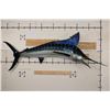 Image 1 : XXL Reproduction MARLIN Fish Mount