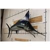 Image 2 : XXL Reproduction MARLIN Fish Mount