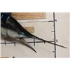 Image 4 : XXL Reproduction MARLIN Fish Mount