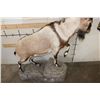 Image 10 : Life-sized IBEX on a light weight foam simulated Rock Base