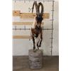 Image 4 : Life-sized IBEX on a light weight foam simulated Rock Base
