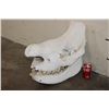Image 2 : *TEXAS RESIDENTS ONLY* BLACK RHINOCERAS Skull with a Removable Bottom Jaw