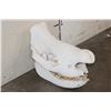 Image 3 : *TEXAS RESIDENTS ONLY* BLACK RHINOCERAS Skull with a Removable Bottom Jaw