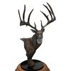Image 1 : "The Breen Buck" Statue by artist Dick Idol on a Marble and Wood Base