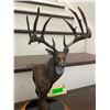 Image 3 : "The Breen Buck" Statue by artist Dick Idol on a Marble and Wood Base