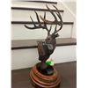 Image 6 : "The Breen Buck" Statue by artist Dick Idol on a Marble and Wood Base