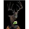 Image 7 : "The Breen Buck" Statue by artist Dick Idol on a Marble and Wood Base