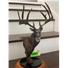 Image 8 : "The Breen Buck" Statue by artist Dick Idol on a Marble and Wood Base
