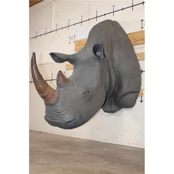 *TEXAS RESIDENTS ONLY* XL *Real Skin* WHITE RHINOCEROS Shoulder Mount with Reproduction Horns