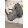 Image 1 : *TEXAS RESIDENTS ONLY* XL *Real Skin* WHITE RHINOCEROS Shoulder Mount with Reproduction Horns