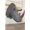 Image 2 : *TEXAS RESIDENTS ONLY* XL *Real Skin* WHITE RHINOCEROS Shoulder Mount with Reproduction Horns