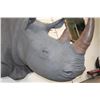 Image 6 : *TEXAS RESIDENTS ONLY* XL *Real Skin* WHITE RHINOCEROS Shoulder Mount with Reproduction Horns
