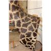 Image 11 : XXL 11' Tall GIRAFFE Pedestal Mount on a Wood Base with Wheels