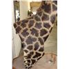 Image 13 : XXL 11' Tall GIRAFFE Pedestal Mount on a Wood Base with Wheels
