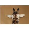 Image 18 : XXL 11' Tall GIRAFFE Pedestal Mount on a Wood Base with Wheels