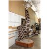 Image 4 : XXL 11' Tall GIRAFFE Pedestal Mount on a Wood Base with Wheels