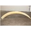Image 13 : *TEXAS RESIDENTS ONLY* Hand-carved or Scrimshawed AFRICAN ELEPHANT IVORY Tusk with an Animal Scene