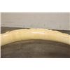 Image 15 : *TEXAS RESIDENTS ONLY* Hand-carved or Scrimshawed AFRICAN ELEPHANT IVORY Tusk with an Animal Scene