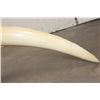 Image 16 : *TEXAS RESIDENTS ONLY* Hand-carved or Scrimshawed AFRICAN ELEPHANT IVORY Tusk with an Animal Scene
