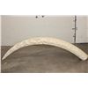 Image 1 : *TEXAS RESIDENTS ONLY* Hand-carved or Scrimshawed AFRICAN ELEPHANT IVORY Tusk with an Animal Scene