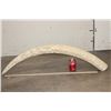 Image 2 : *TEXAS RESIDENTS ONLY* Hand-carved or Scrimshawed AFRICAN ELEPHANT IVORY Tusk with an Animal Scene