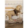 Image 2 : *TEXAS RESIDENTS ONLY* Life-sized AFRICAN LION with an XXL Mane on a Base with Wheels