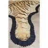Image 13 : *TEXAS RESIDENTS ONLY* XL TIGER Rug with its Mounted Head and a Felt Bottom