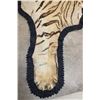 Image 15 : *TEXAS RESIDENTS ONLY* XL TIGER Rug with its Mounted Head and a Felt Bottom