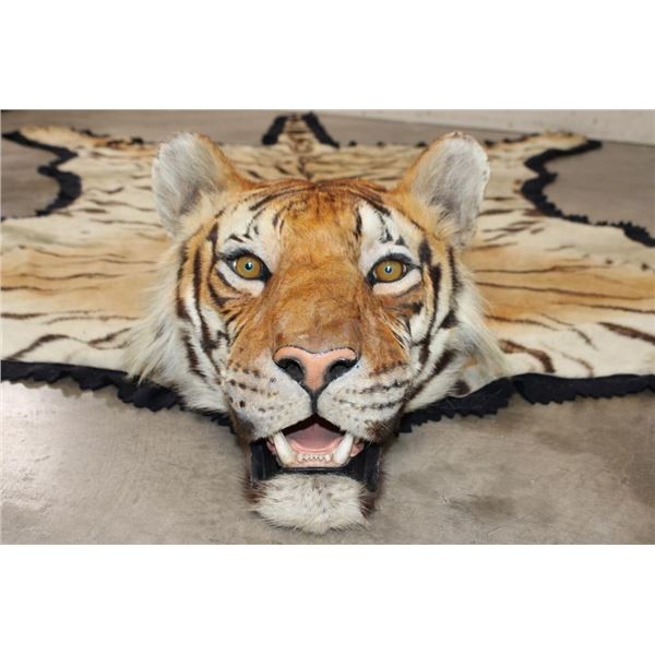 *TEXAS RESIDENTS ONLY* XL TIGER Rug with its Mounted Head and a Felt Bottom