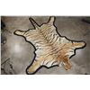 Image 2 : *TEXAS RESIDENTS ONLY* XL TIGER Rug with its Mounted Head and a Felt Bottom