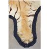Image 9 : *TEXAS RESIDENTS ONLY* XL TIGER Rug with its Mounted Head and a Felt Bottom