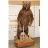 Image 2 : Massive 7' Tall Standing BROWN BEAR/GRIZZLY BEAR with over 4" Long Claws