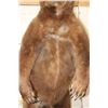 Image 6 : Massive 7' Tall Standing BROWN BEAR/GRIZZLY BEAR with over 4" Long Claws