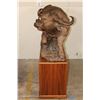 Image 15 : XXL Original Leadwood Carving of a CAPE BUFFALO by artist Robert Nzali