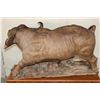 Image 19 : XXL Original Leadwood Carving of a CAPE BUFFALO by artist Robert Nzali