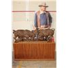 Image 2 : XL Original Hand-carved Leadwood Sculpture of 2 CAPE BUFFALO by African artist Robert Nzali