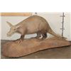 Image 1 : Very *Rarely Seen* Life-sized AARDVARK on a Simulated Rock Base with Wheels