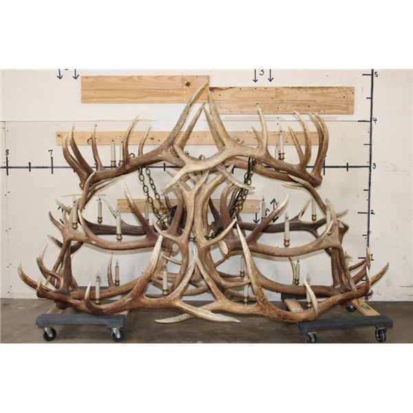 XXL Hand-made ELK Antler Chandelier Made from 20 Antler Sheds