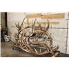 Image 2 : XXL Hand-made ELK Antler Chandelier Made from 20 Antler Sheds