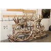 Image 3 : XXL Hand-made ELK Antler Chandelier Made from 20 Antler Sheds