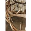Image 8 : XXL Hand-made ELK Antler Chandelier Made from 20 Antler Sheds