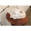 Image 3 : *TEXAS RESIDENTS ONLY* The Biggest AFRICAN LION Skull We have Ever Seen!