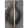Image 10 : *TEXAS RESIDENTS ONLY* Very Nice MARKHOR SKULL with Removable Horns