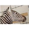 Image 13 : ZEBRA Pedestal Mount with 4 ZEBRA Hide Panels on its Wooden Base