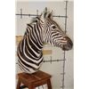 Image 4 : ZEBRA Pedestal Mount with 4 ZEBRA Hide Panels on its Wooden Base