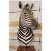 Image 5 : ZEBRA Pedestal Mount with 4 ZEBRA Hide Panels on its Wooden Base