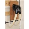 Image 3 : Antique Upper WALRUS Skull on a Wooden Plaque