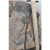 Image 5 : Big Moroccan CRINOID Fossil Plate from Morocco, Weight: 19lbs